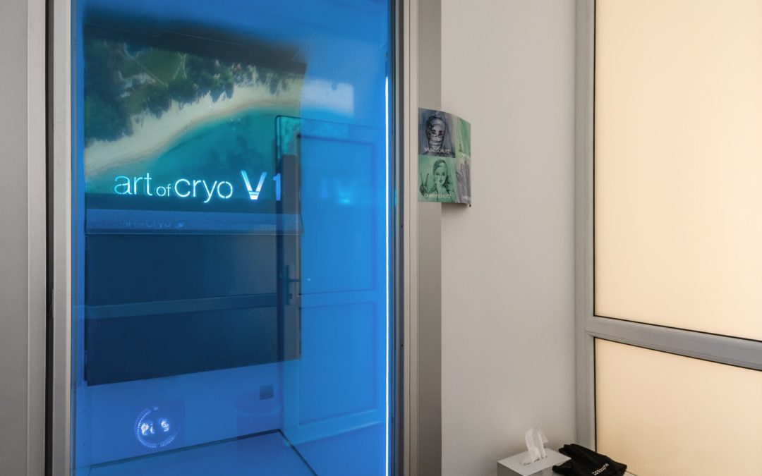 Why are high-performance cryotherapy chambers by Art of Cryo called “Vaultz”?