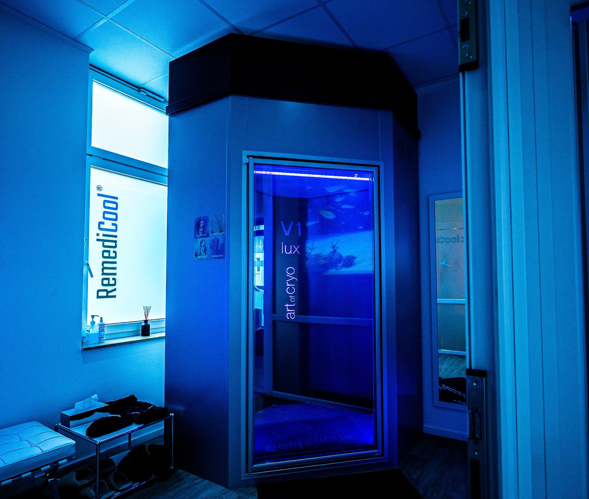 Art of Cryo Electrical cryotherapy chamber